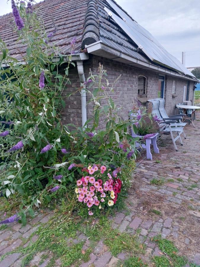 شقة Logeerruimte In Gerenoveerde Boerderij In Wachtum المظهر الخارجي الصورة